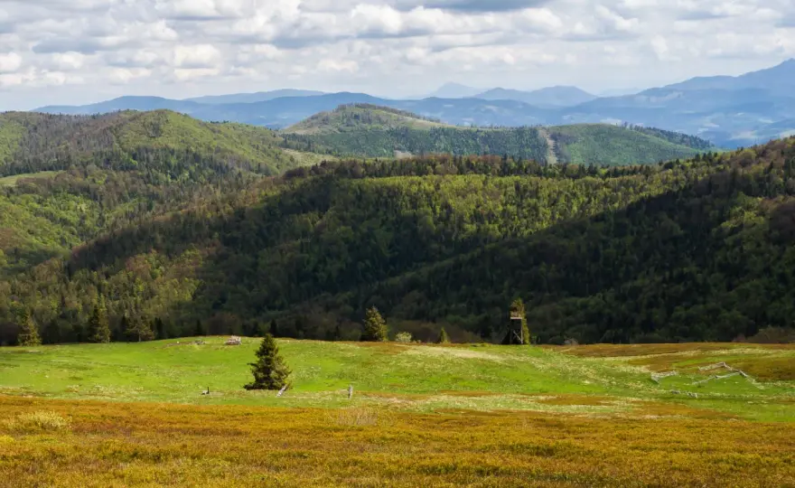 Beskidy na Śląsku - Gdzie iść? Wybierz najlepsze szlaki!