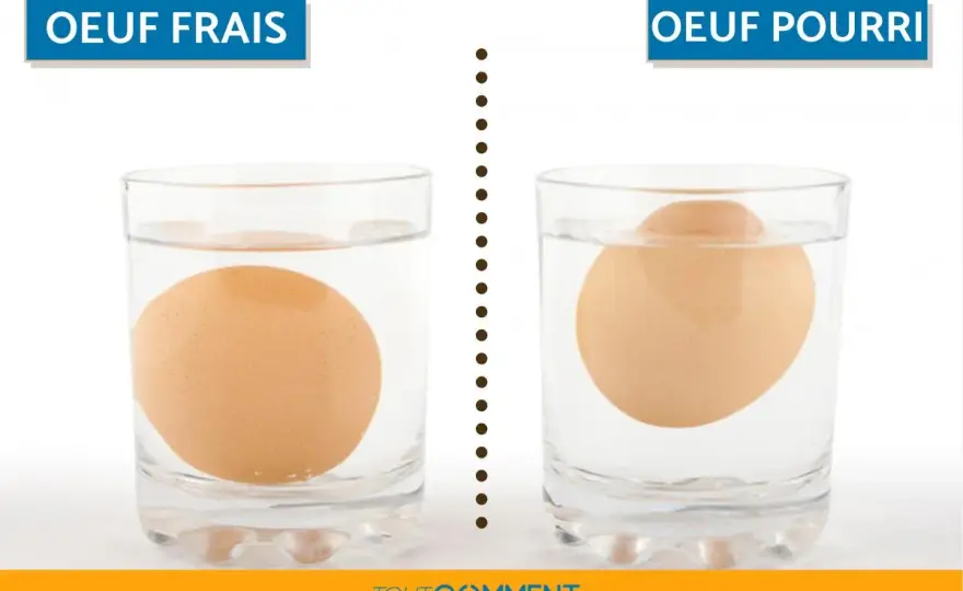 Comment savoir si un oeuf est bon ? Les signes à vérifier
