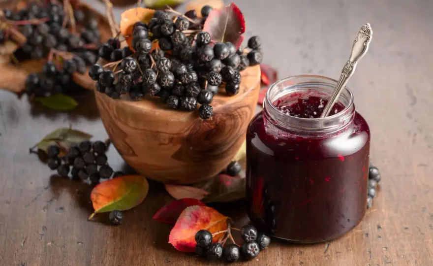 Aronia - co zrobić? Przepisy na sok, dżem i nalewkę!