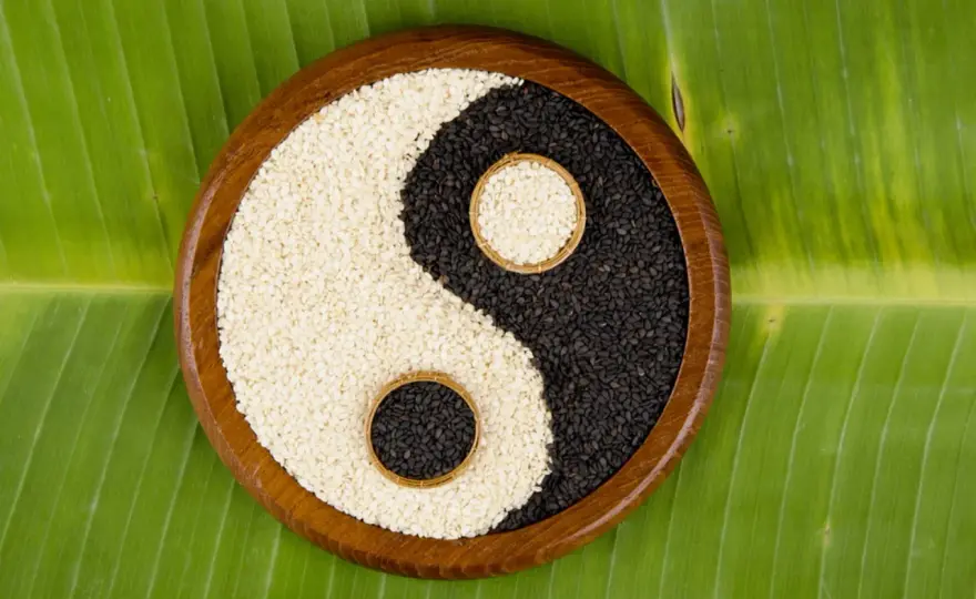 Yin e Yang - Il vero significato per il tuo benessere