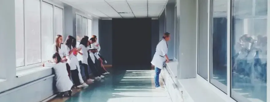 Co można robić po studiach biotechnologii? Odkryj ciekawe kariery