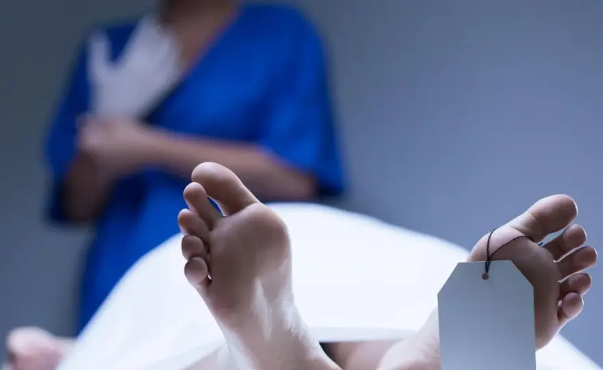 Plamy opadowe - co zdradzają o czasie zgonu i ułożeniu ciała?