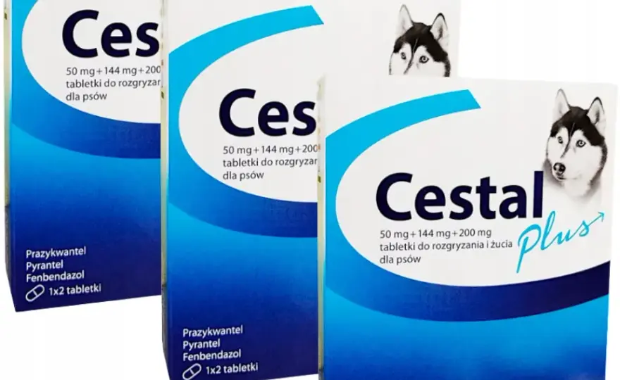 Cestal dla psa - Cestal Plus, Porady i Cena