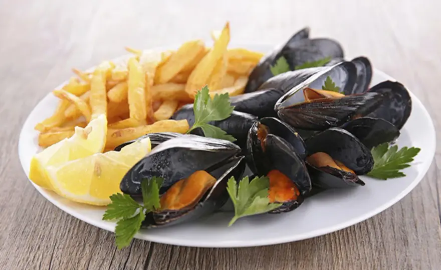 Quel vin avec des moules-frites - L'accord parfait