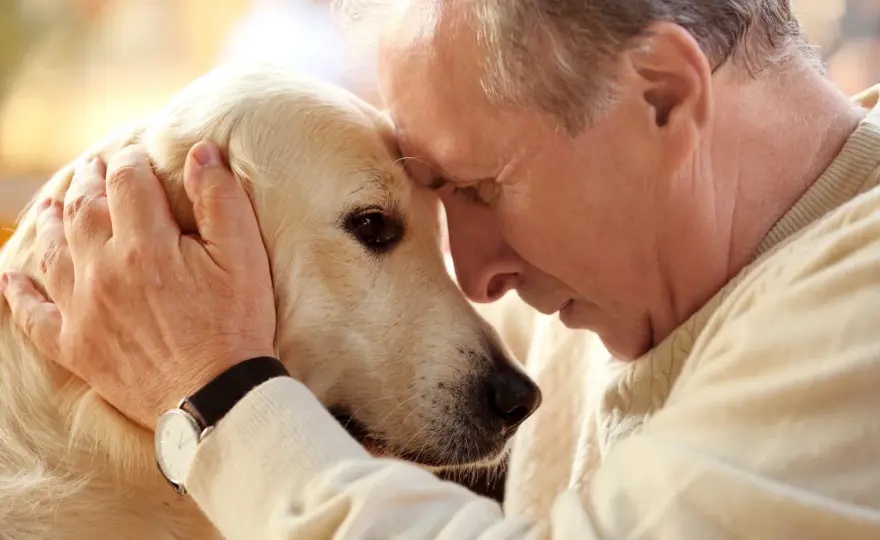 How Long Do Dogs Live? Maximize Their Healthy Years!