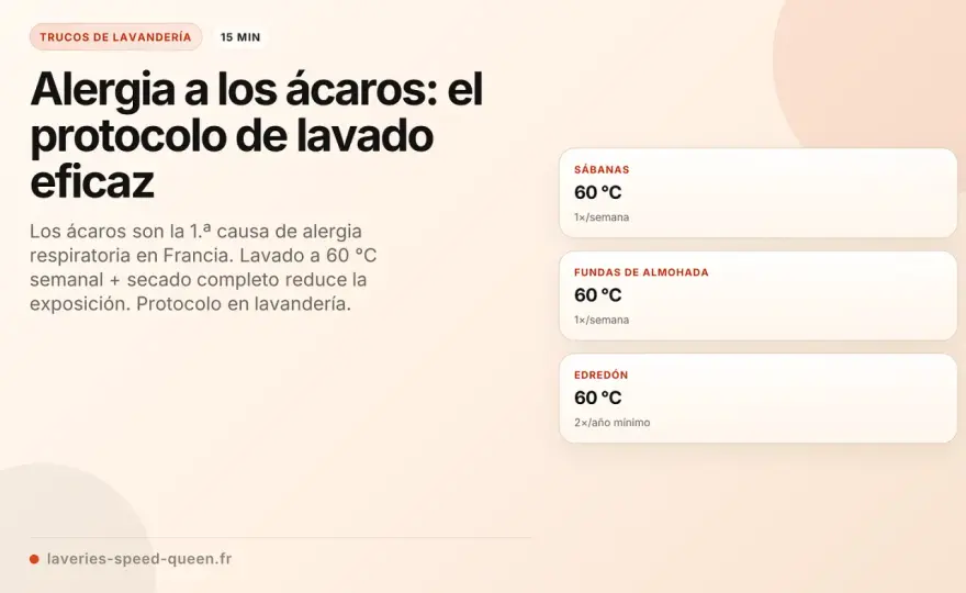 Alergia a los ácaros - cómo bajar la exposición en casa