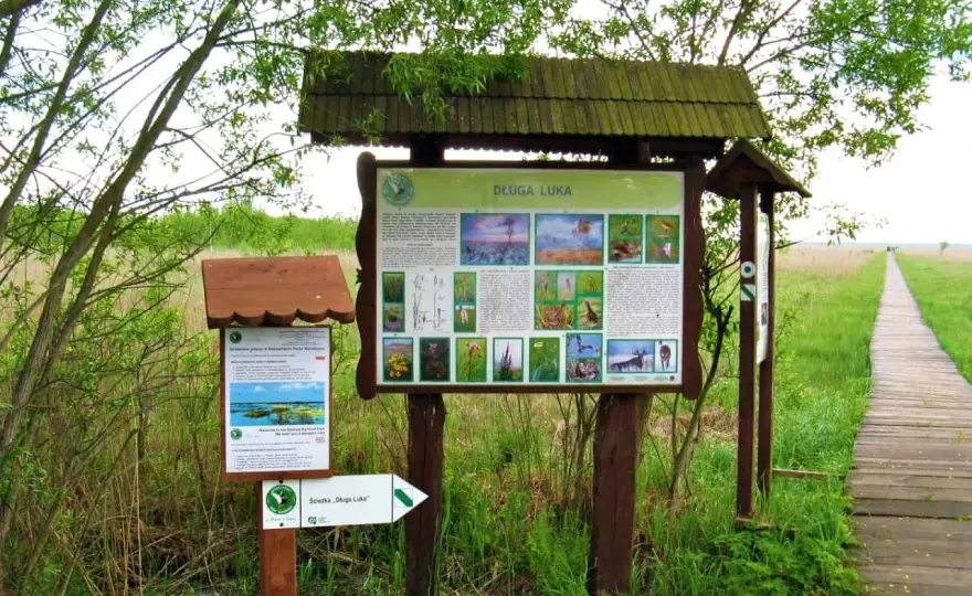 Biebrzański Park Narodowy: Jak zaplanować udany wyjazd?