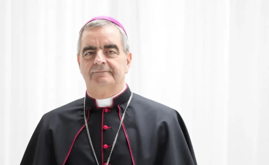 Nuntius - Was der päpstliche Bote wirklich für die Kirche tut