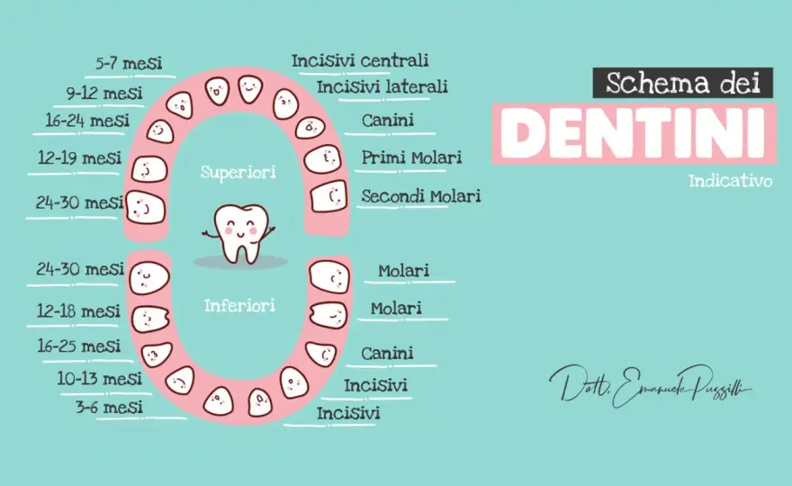 Denti a 2 anni - Guida completa per genitori consapevoli