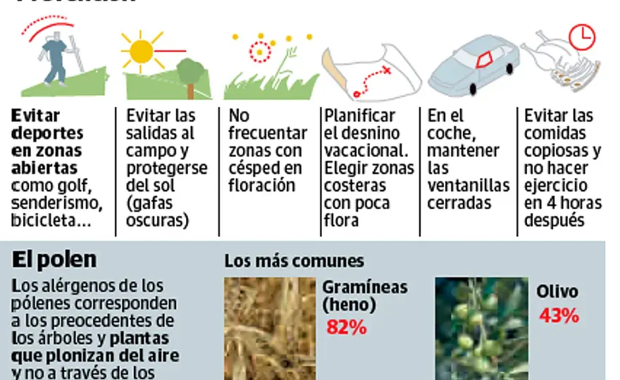 Polen de malezas - cómo aliviar la alergia y respirar mejor