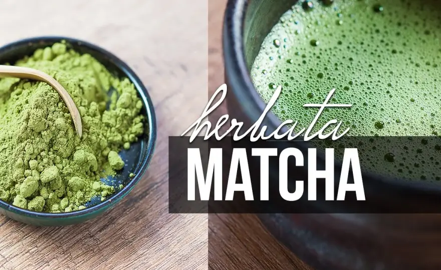 Matcha z czym pić, aby wydobyć jej najlepszy smak i aromat