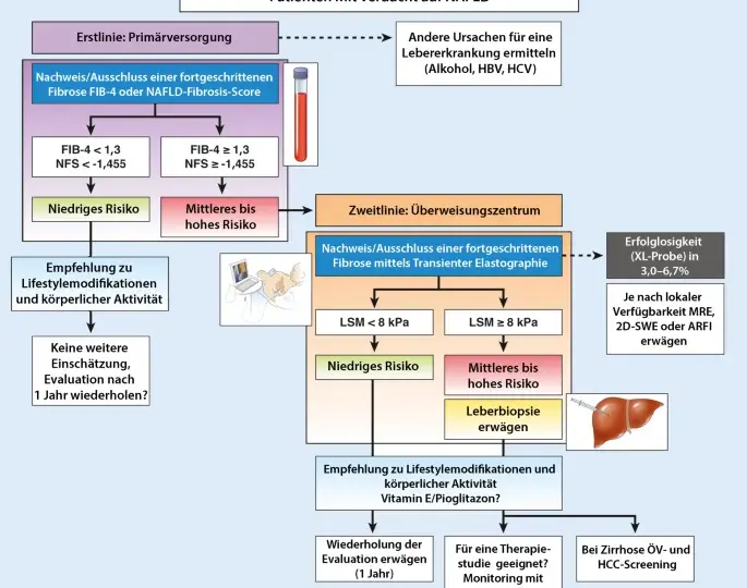 Leberzirrhose Diagnostik: Wichtige Tests und Verfahren zur Früherkennung