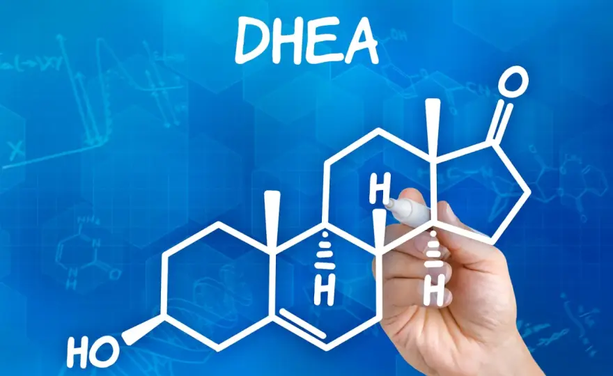 DHEA - hormon czy suplement? Zrozum, zanim zażyjesz!