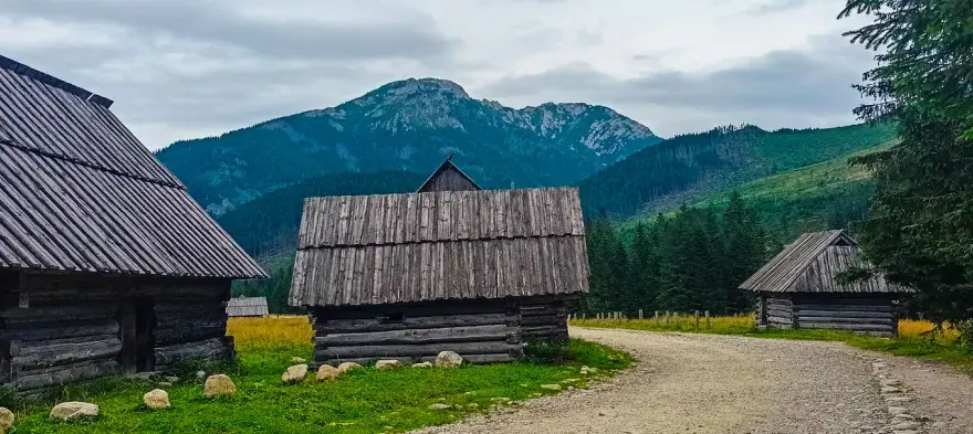 Bacówka Dolina Chochołowska: historia, oscypki i atrakcje turystyczne w Tatrach