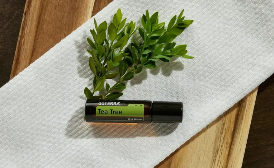 Aceite de árbol de té: ¿Beneficio o riesgo para tu piel?