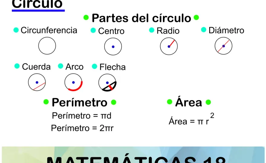 Partes de la circunferencia - ¡Domina la geometría!