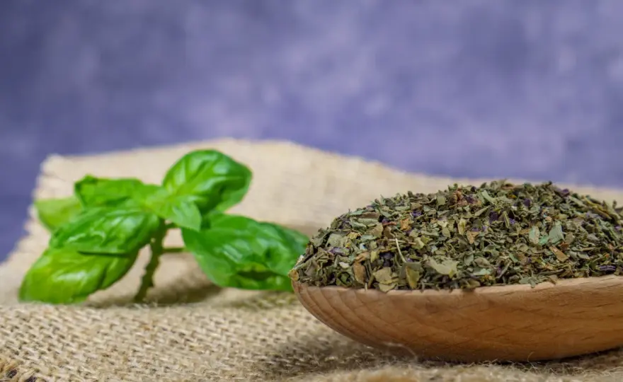 Jak suszyć bazylię? Prosty przewodnik po aromacie lata