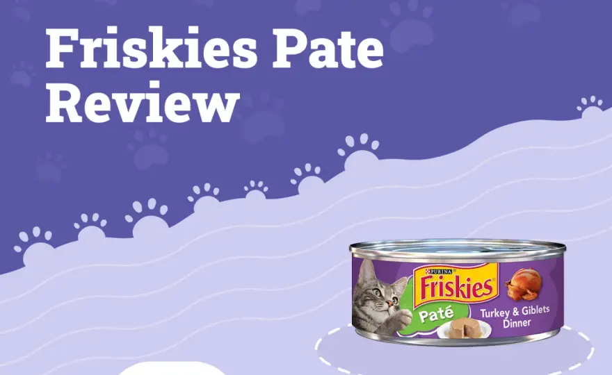 Is Friskies Good Cat Food? What to Know Before You Buy