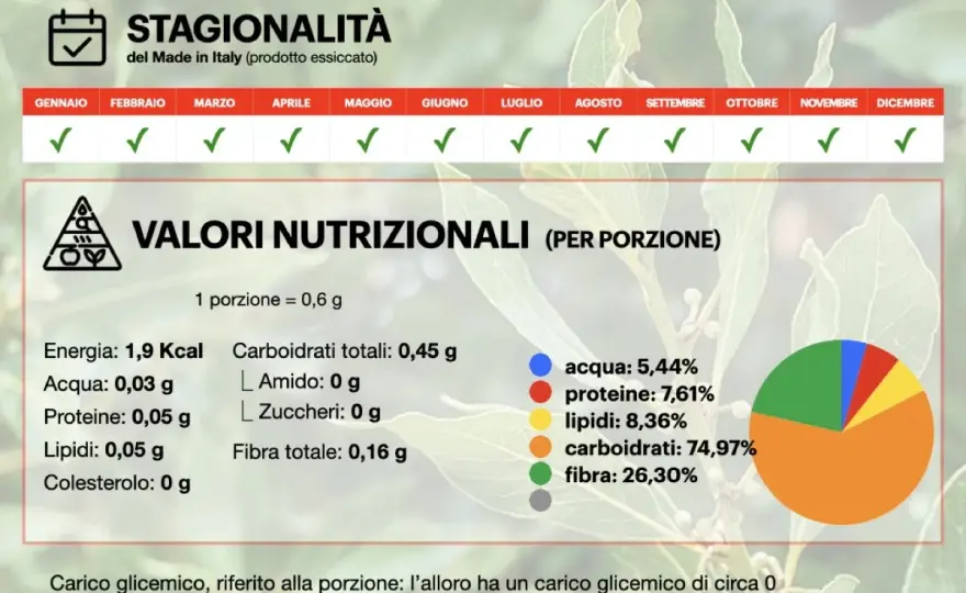 Alloro, benefici e dosi per usarlo bene in cucina