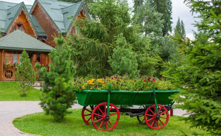 Ogród leśny - Stwórz naturalny azyl. Poradnik krok po kroku