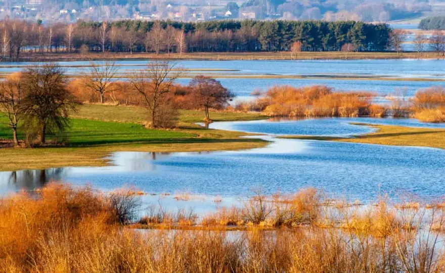 Biebrzański Park Narodowy - Zobacz Biebrzę, nie tylko ją "zalicz"