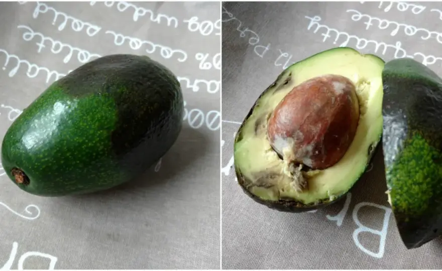 Jakie awokado do guacamole? Wybierz najlepsze dla idealnego smaku