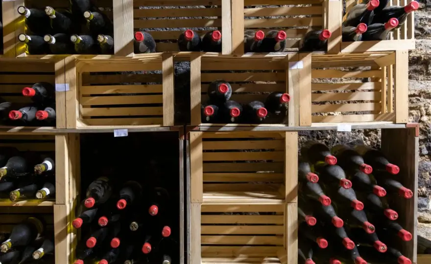 Wein richtig lagern - wie lange Flaschen wirklich halten