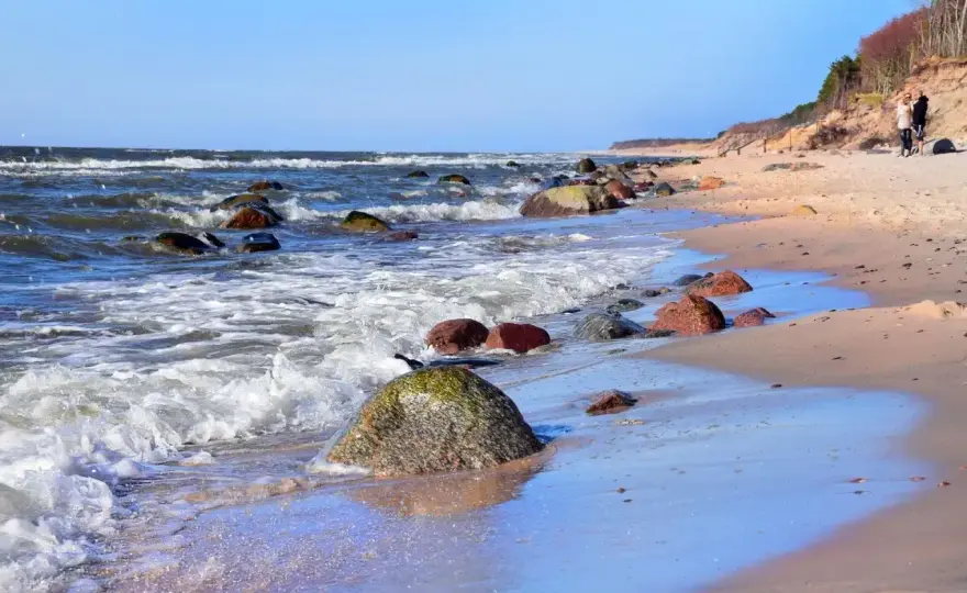 Plaża w Poddąbiu - klif, las i spokojny brzeg Bałtyku
