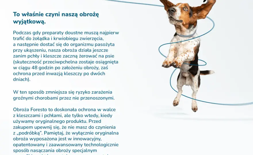Ochrona psa przed kleszczami: Tabletki, obroże, krople wybierz najlepszą