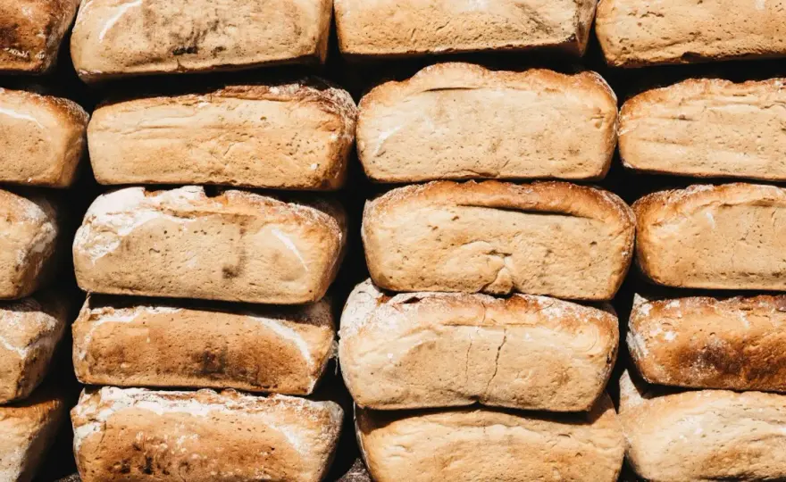 Czy pies może jeść chleb? Poznaj fakty i zagrożenia