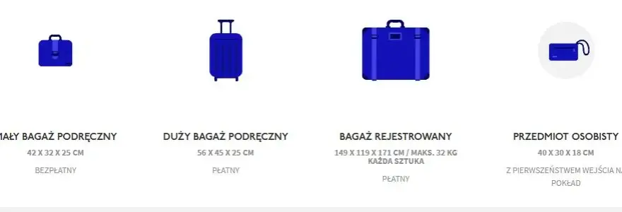 Ile kosztuje bagaż rejestrowany w Wizz Air? Sprawdź ceny i oszczędź