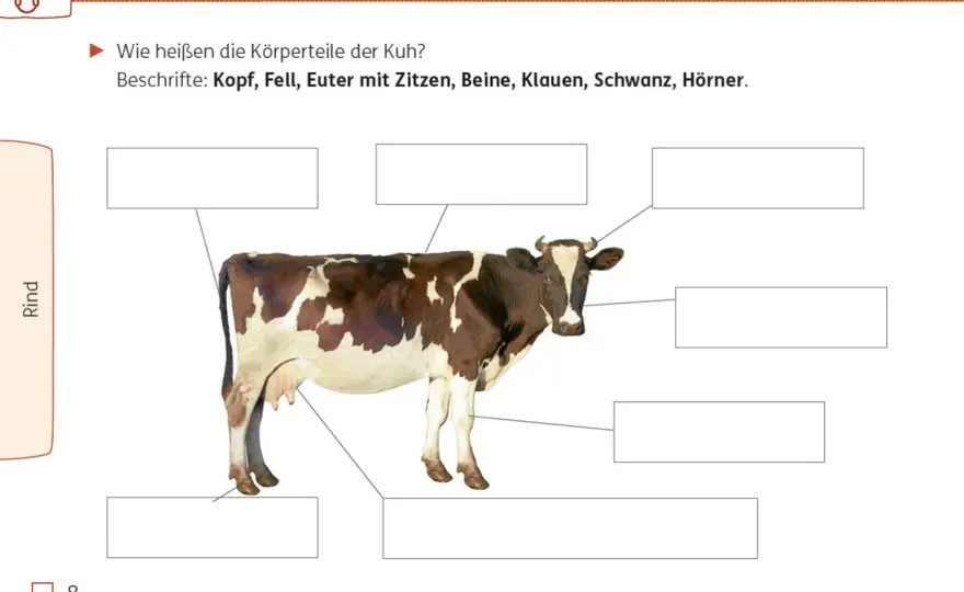 Nutztiere im Sachunterricht: So gelingt der Bauernhof-Unterricht