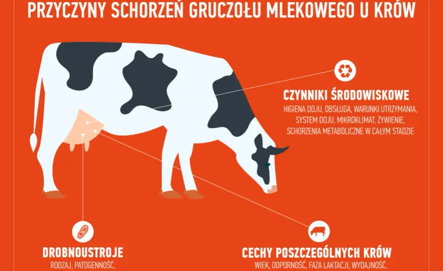 Mastitis - co to jest? Objawy i przyczyny zapalenia piersi