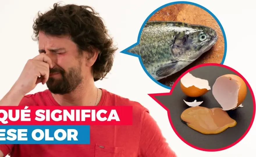 Olor a amoníaco en casa - qué significa y cómo actuar