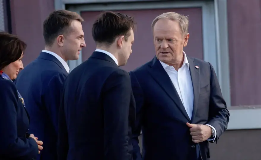Co to jest koalicja? Poznaj definicję, rodzaje i przykłady