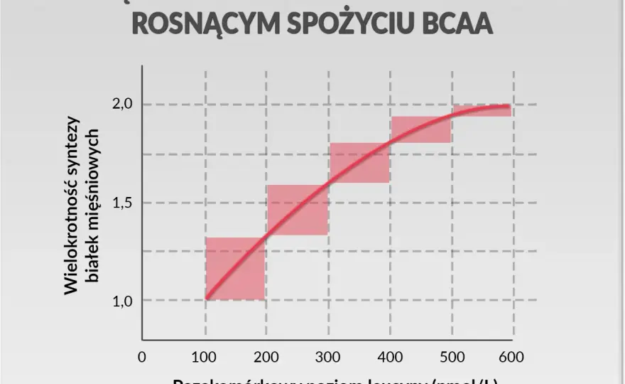 Aminokwasy w treningu - Suplementacja czy dieta wystarczy?