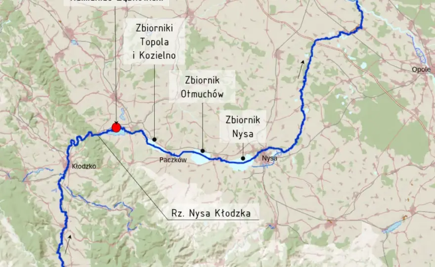 Ząb 36 który to: kluczowe informacje o jego roli i lokalizacji