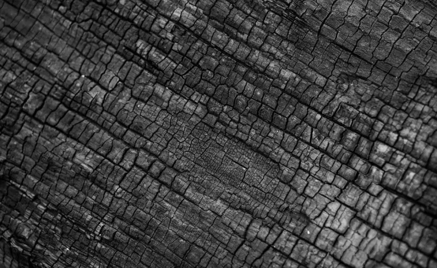 Yakisugi Möbel – Verkohltes Holz richtig anwenden & Fehler vermeiden