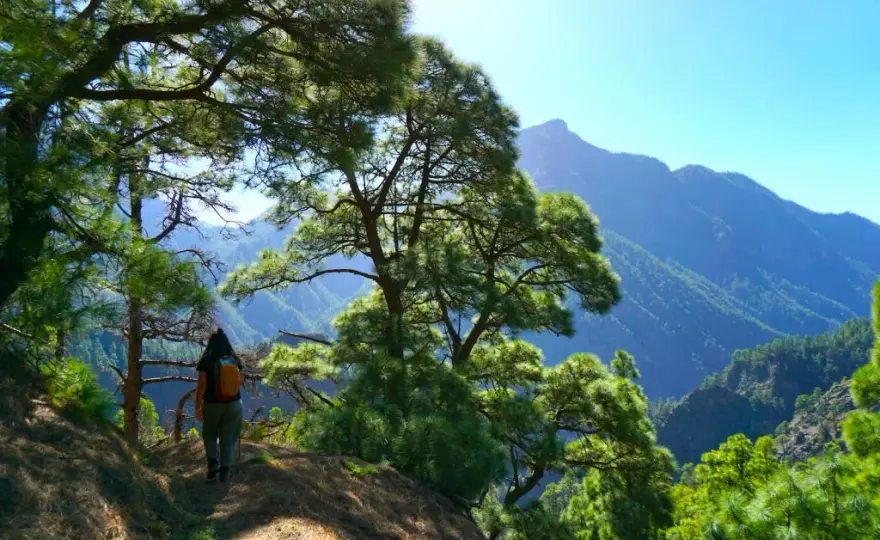 La isla más bonita de las Canarias: La Palma y su belleza natural