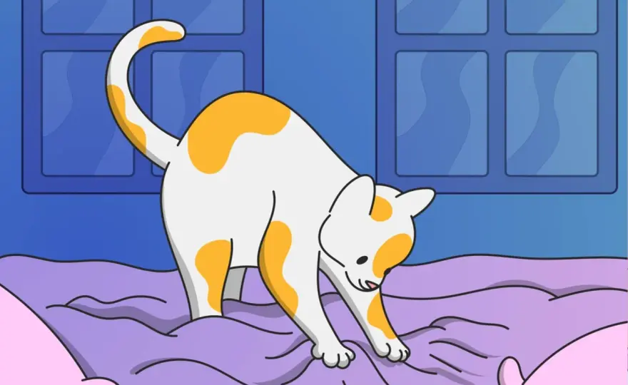 My Cat Doesn't Knead - Is That Normal?