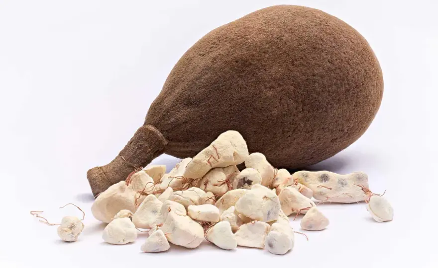 Baobab proprietà e benefici - come usare la polvere con cautela