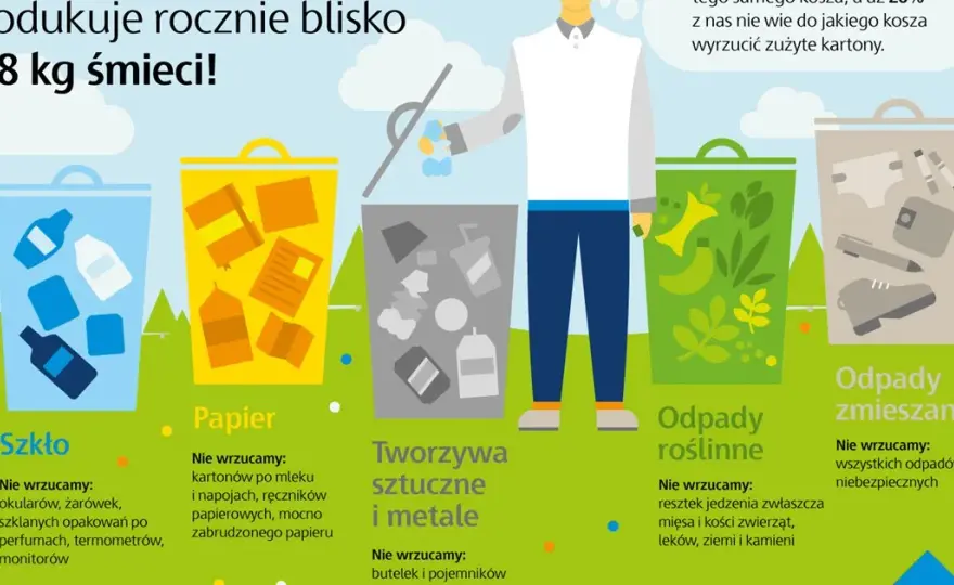 Gdzie wyrzucić karton? Kompletny poradnik segregacji odpadów