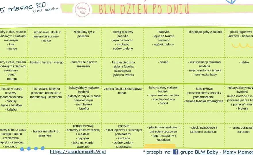 BLW od kiedy? Gotowość dziecka, nie kalendarz – poradnik