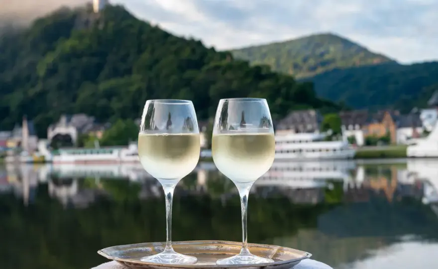 Weinregionen am Rhein - Welcher Wein passt zu dir?