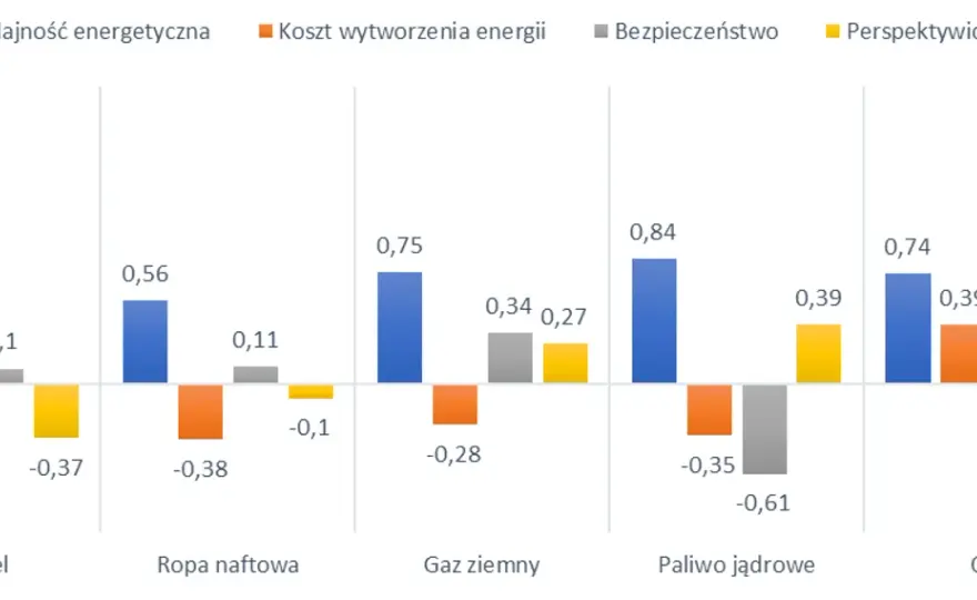 Atom w Polsce: Ile elektrowni? Plany, koszty i poparcie społeczne