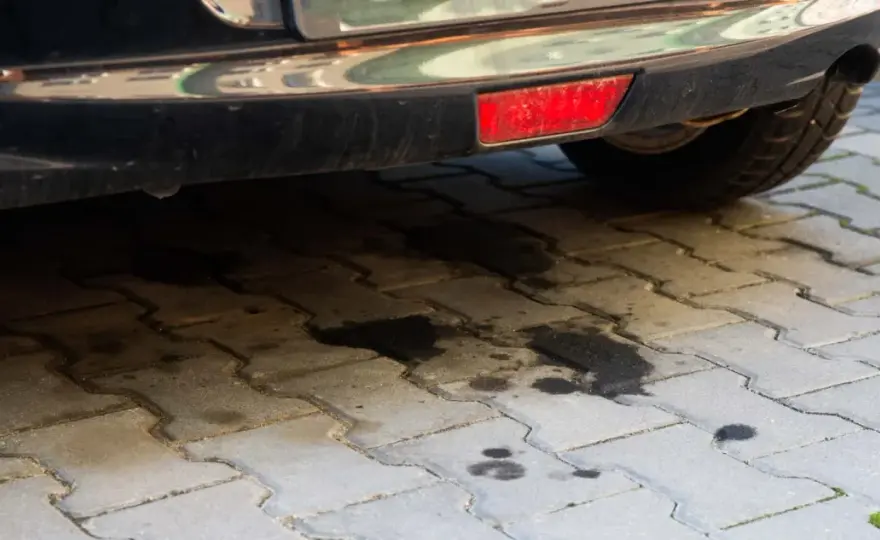 Cieknąca maglownica w Sharanie? Regeneracja to klucz do spokoju!
