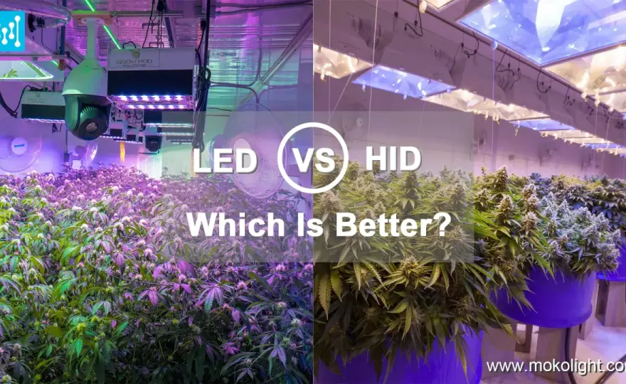 Iluminación HID - ¿Aún vale la pena o es mejor LED?
