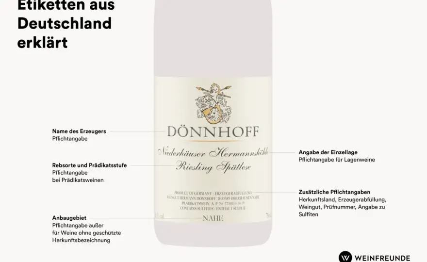 Weinetiketten richtig lesen - Ihr Guide zum perfekten Wein