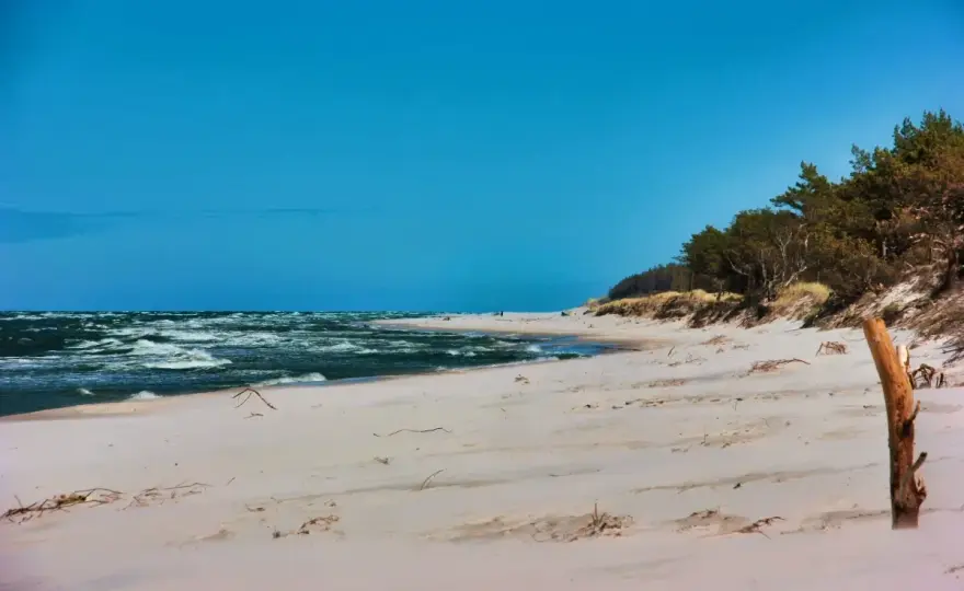Kempingi w Trójmieście - gdzie spać przy plaży, a gdzie zwiedzać