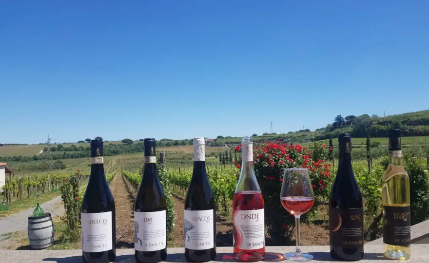 Wein um Rom: Frascati & Cesanese - Was wirklich wichtig ist